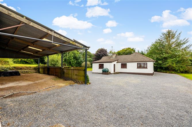 Kilgraney Stables Kilgraney Bagenalstown Co. Carlow, Bagenalstown, Carlow