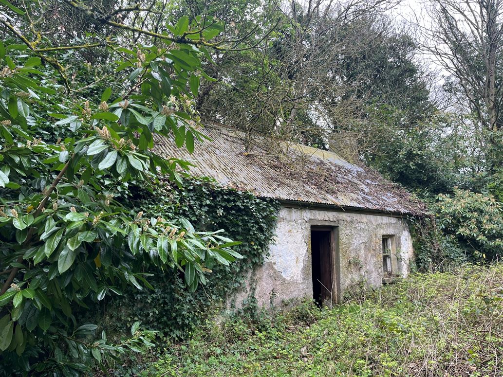 Clonydonnin, Castledaly, Athlone, Co. Westmeath