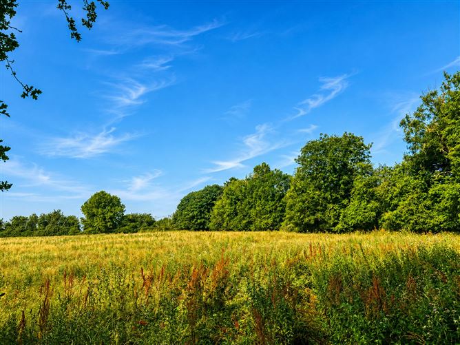 55 Acres, Thomastown, Kilcullen, Kildare