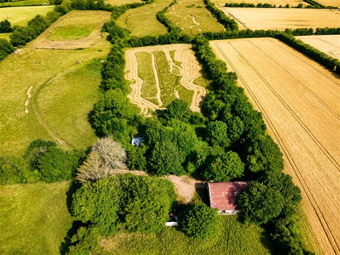 Photo 6 of 9 — 55 Acres, Thomastown, Kilcullen, Kildare