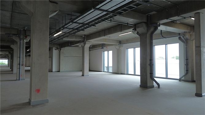 Dexcom Stadium, Level 1, College Road, Galway