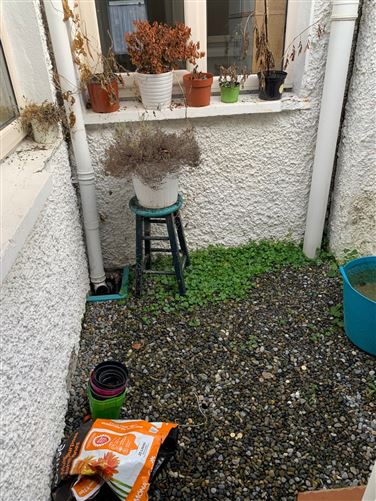 28 Donore Avenue, Dublin 8