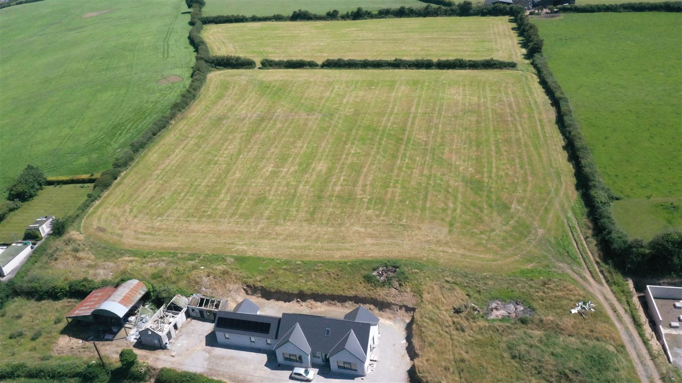 Drumashellig, Ballyroan, Laois
