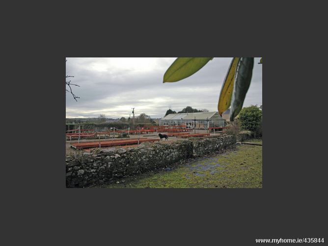 Carewswood Garden Centre, Castlemartyr