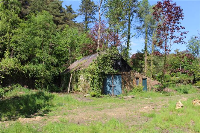 The Old Stables Ballygahan, Avoca, Wicklow