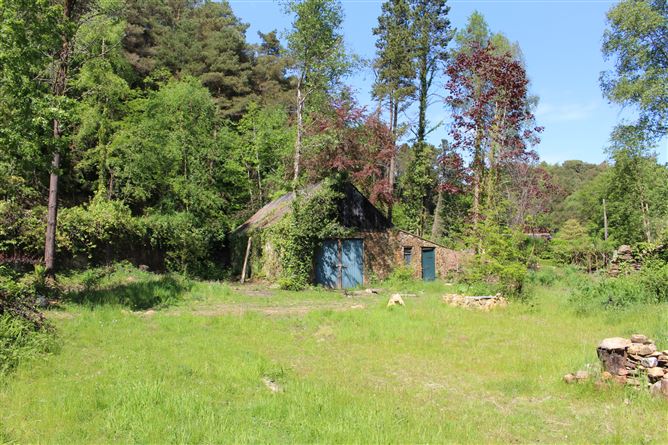 The Old Stables Ballygahan, Avoca, Wicklow