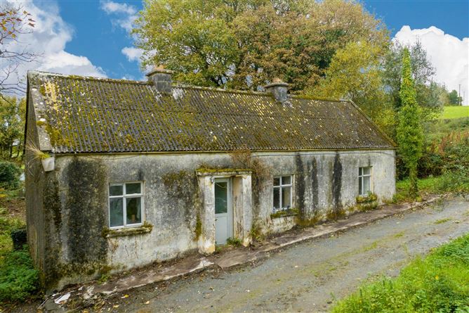 Ballyduffy, Moyne, County Longford