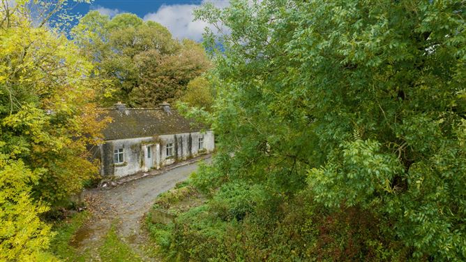 Ballyduffy, Moyne, County Longford