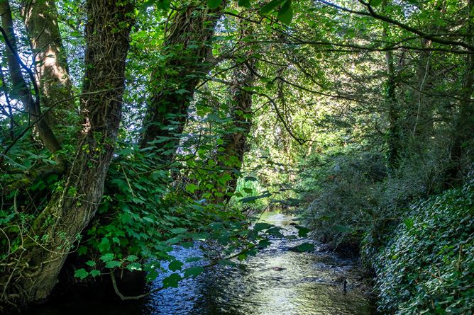 Tinnycross, Tullamore, Offaly
