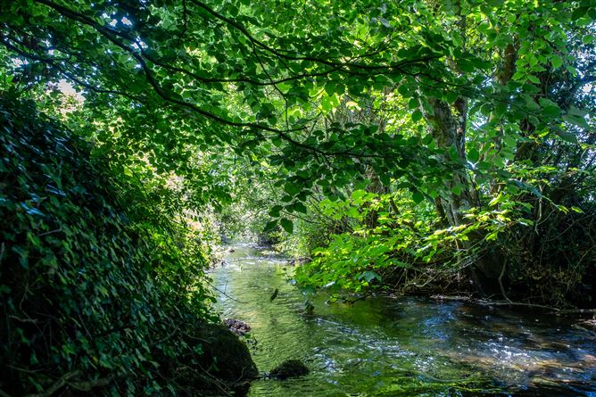 Tinnycross, Tullamore, Offaly