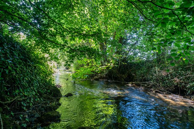 Tinnycross, Tullamore, Offaly