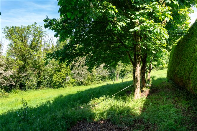 Tinnycross, Tullamore, Offaly