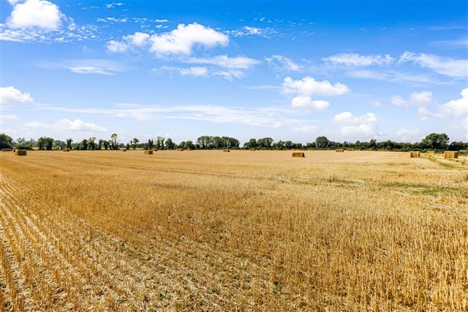 Attractive 22.5 Acre Farm, Cloncullen, Robinstown, Trim, Co. Meath