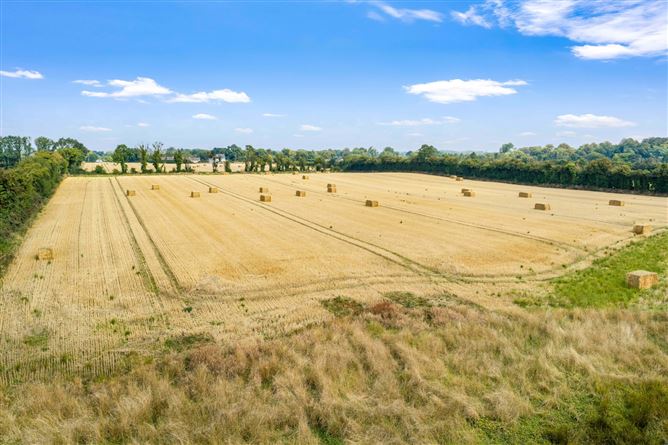 Attractive 22.5 Acre Farm, Cloncullen, Robinstown, Trim, Co. Meath