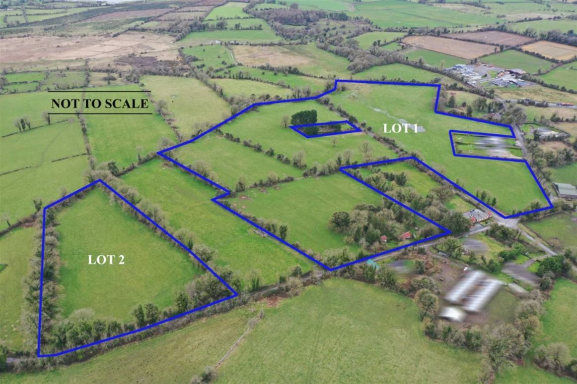 31.32 Acres In Two Lots, Scardaun, Athleague, County Roscommon