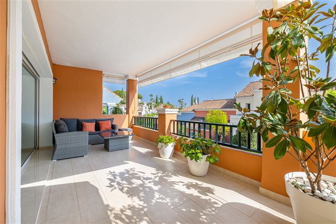 Spain, Marbella, Nueva Andalucia - COSTA-01015P