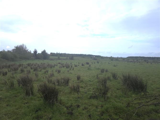 Eskreagh, Tubbercurry, Sligo