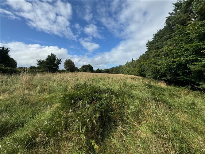 Land c. 3 Acres, 1.24 HA, Lake Shore, NR. Blessington, Valleymount, Wicklow
