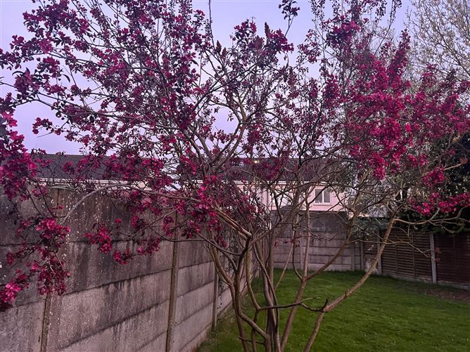 88 Blackcastle Demesne, Slane Road, Navan, Co.Meath