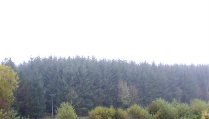 Drumgownagh, Ballinamore, Leitrim, Leitrim
