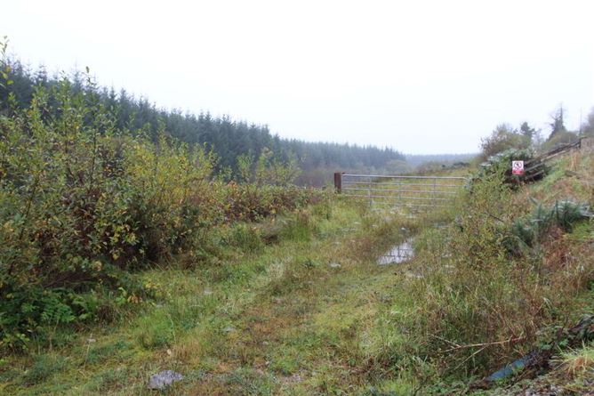 Drumgownagh, Ballinamore, Leitrim, Leitrim