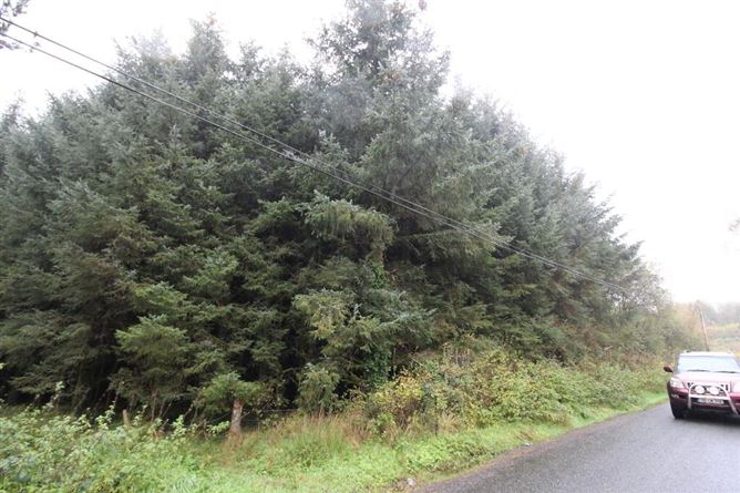 Drumgownagh, Ballinamore, Leitrim, Leitrim