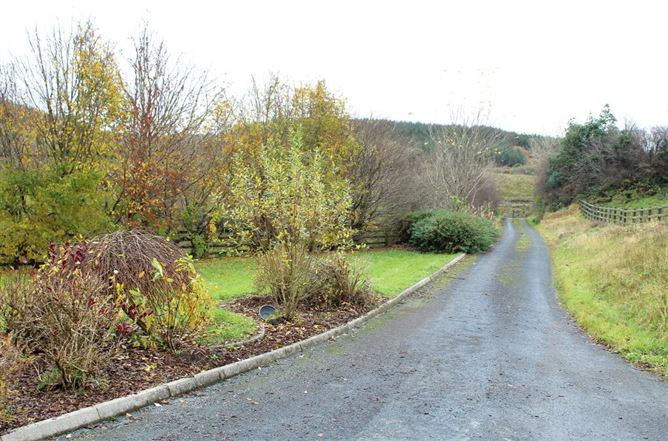 Ballinaboy, Carrick-On-Shannon, Leitrim