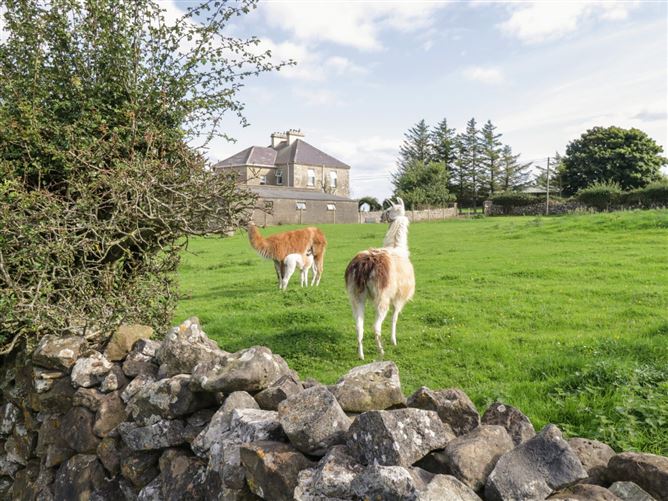 Main image for The Lazy Llama,The Lazy Llama, Campview Farm, Finner Rd, Portnason, Ballyshannon,  Donegal, F94 X4H1, Ireland