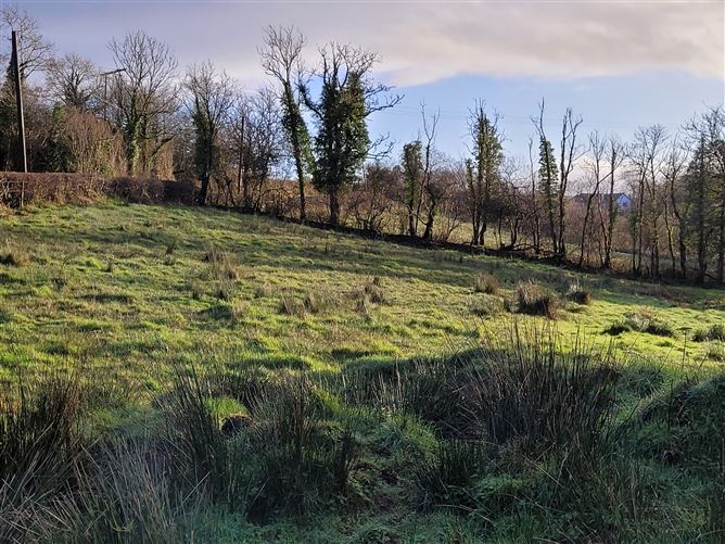 Gortgarrigan, Dromahair, Leitrim