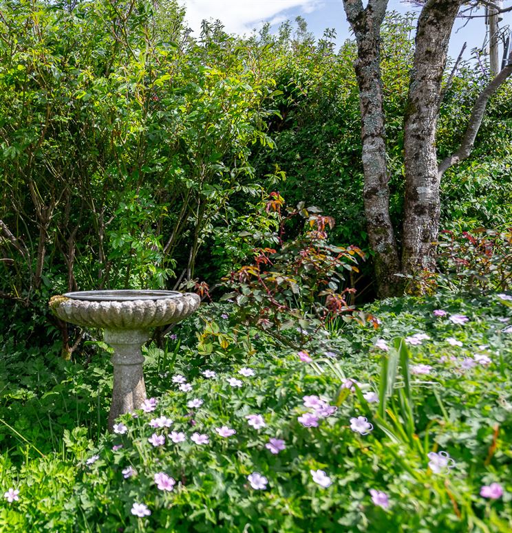 Billows, Feorus East, Kenmare, Co. Kerry Billows, Feorus East, Kenmare, Co. Kerry