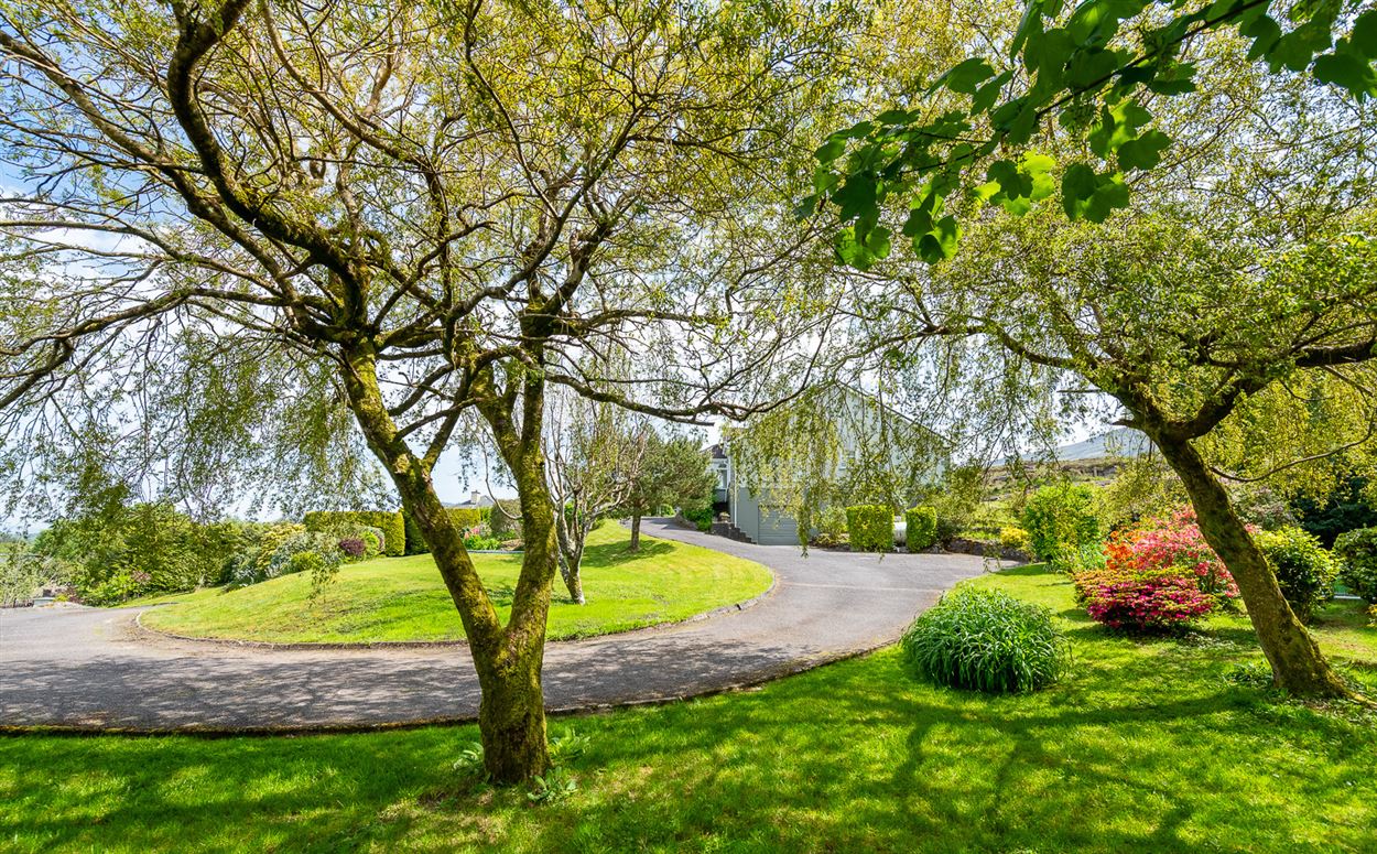 Billows, Feorus East, Kenmare, Co. Kerry Billows, Feorus East, Kenmare, Co. Kerry