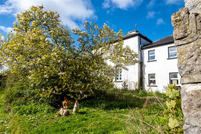 Photo 25 of 44 — The Old Rectory, Gaurraun, Tynagh, Co. Galway