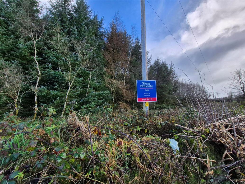27.13 Acres Of Forestry, Stripe North, Milltown, Tuam, Co. Galway