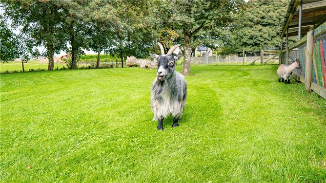 The Orchard Childcare Centre, Corofin, Tuam, Co. Galway