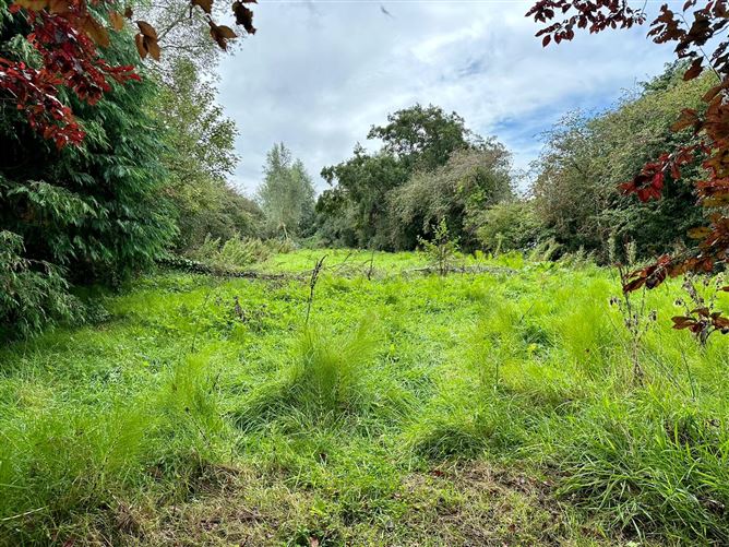 5 Cottage Row, Taghmon, Wexford