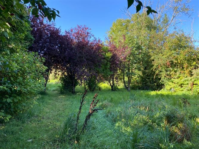 5 Cottage Row, Taghmon, Wexford