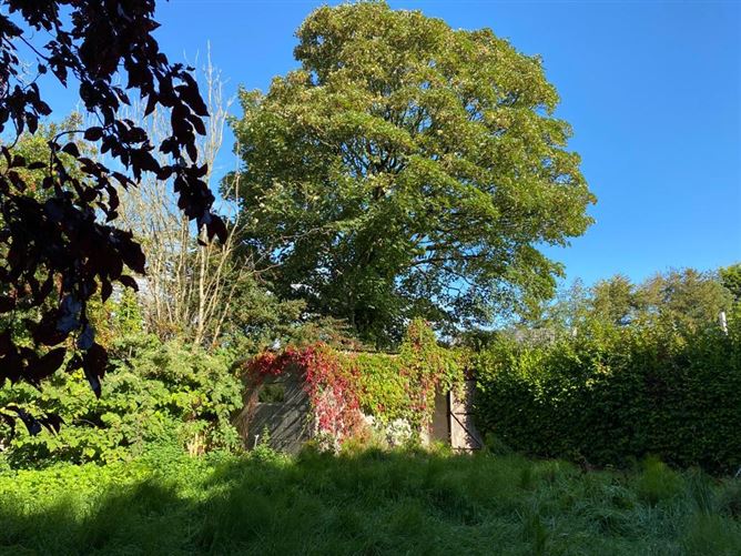 5 Cottage Row, Taghmon, Wexford