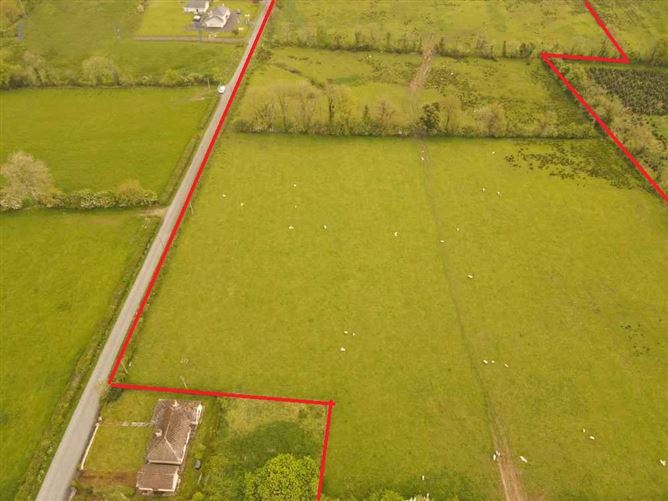Ballylane, Lismoy, Newtownforbes, Co. Longford