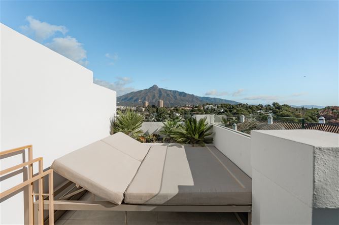 Spain, Marbella, Nueva Andalucia - COSTA-00850P