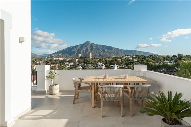 Spain, Marbella, Nueva Andalucia - COSTA-00850P