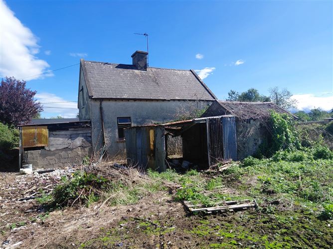 Newtown, Galbally, Co.Limerick.