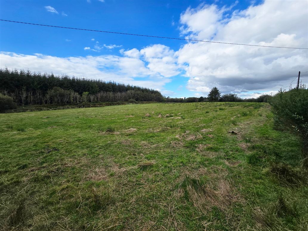 Ballydineen, Knockalough, Ennis, Co. Clare