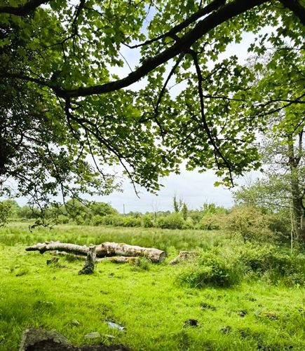 Lands Mullauns, Ballina, Co. Mayo
