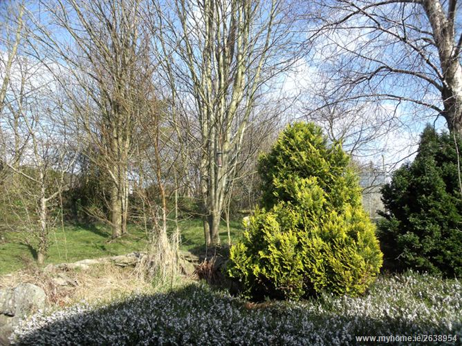 Andale, Toberpatrick, Tinahely, Wicklow