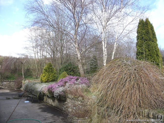 Andale, Toberpatrick, Tinahely, Wicklow