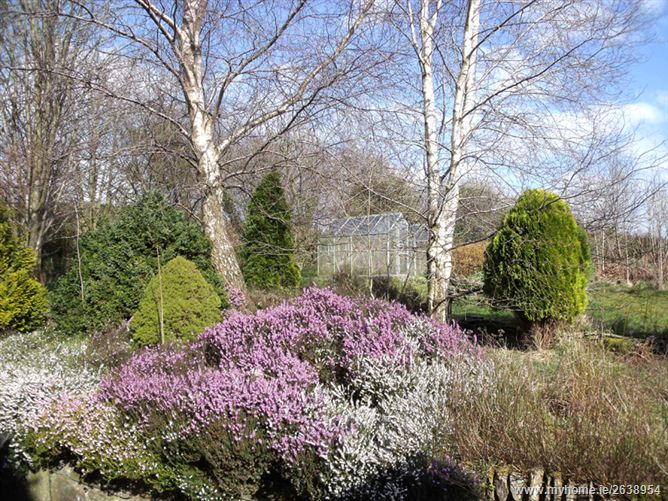 Andale, Toberpatrick, Tinahely, Wicklow