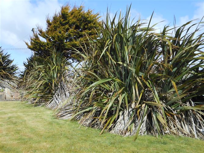 The Old Knitting Factory, Banraughbaun, Ballinahown, Inverin, Galway