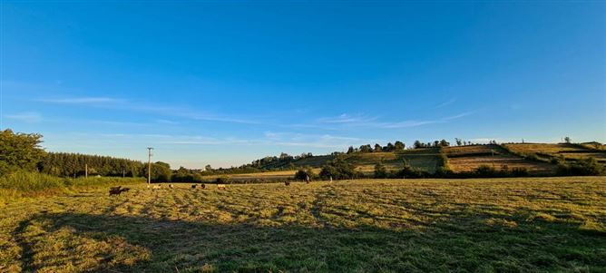 Kilnagross, Carrick On Shannon, Leitrim
