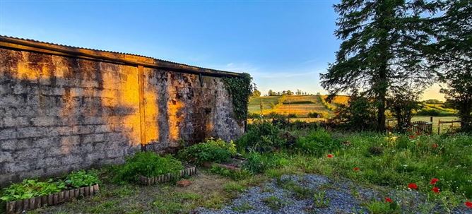 Kilnagross, Carrick On Shannon, Leitrim