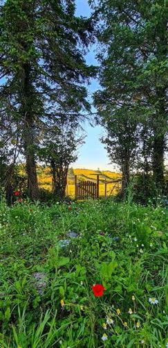 Kilnagross, Carrick On Shannon, Leitrim